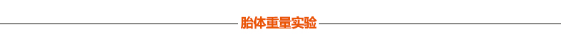 宏成整体砖  胎体重量实验